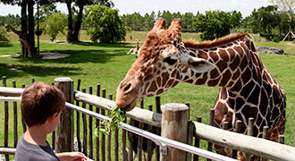 Chicago Hotel Packages | Hilton Chicago Oak Brook Hills