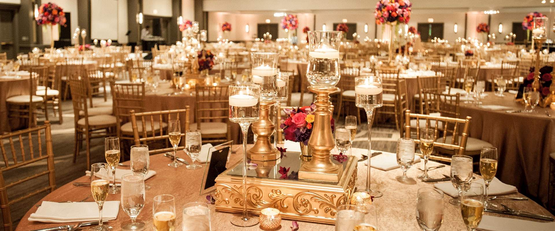 The hidden gem of the suburbs