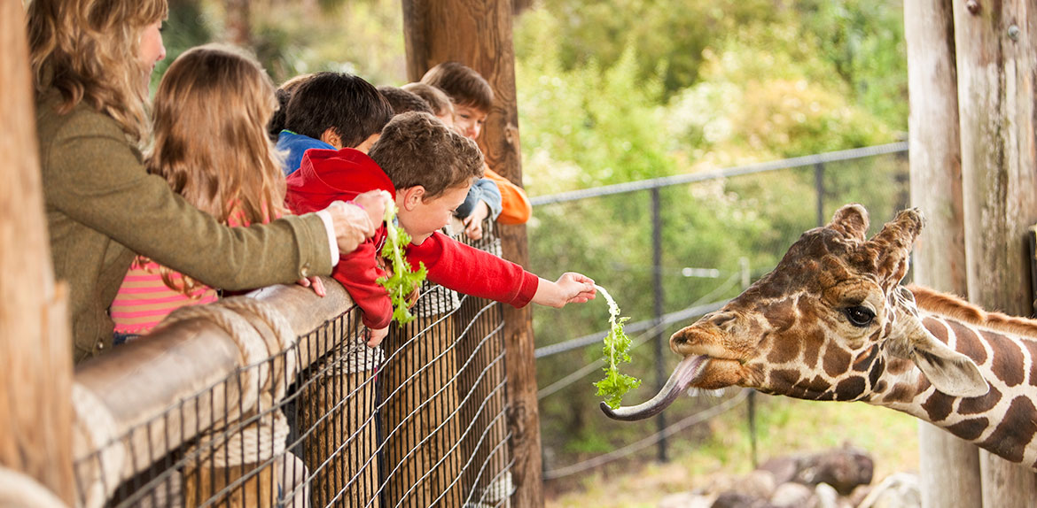 Brookfield Zoo at Chicago