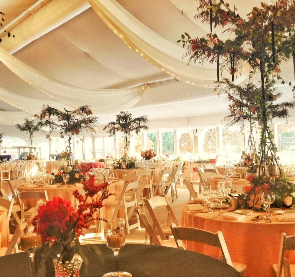 Expansive Outdoor Tent at Chicago
